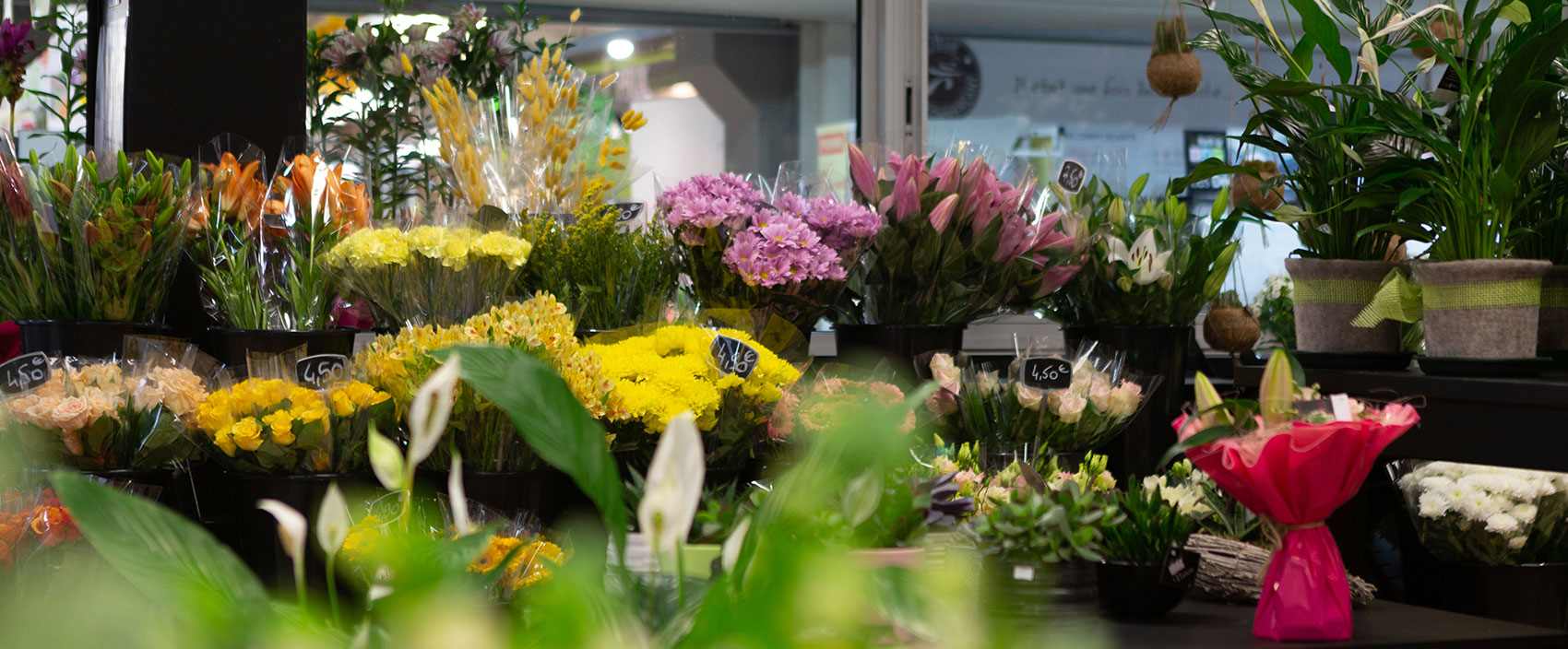 La boutique MS Fleurs à Orange dans le Vaucluse