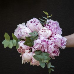 bouquet de pivoine rose