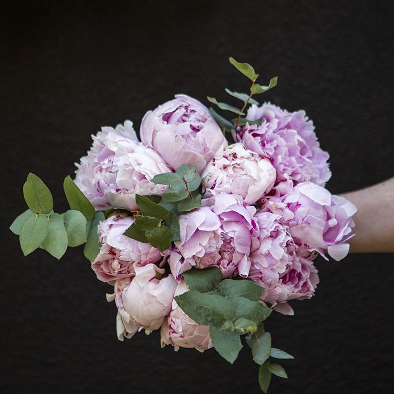 bouquet de pivoine rose