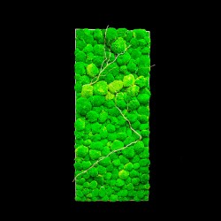 Cadre Végétalisé mousse