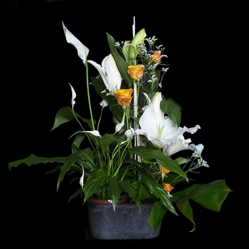 Composition de Plantes garnie de fleurs coupées