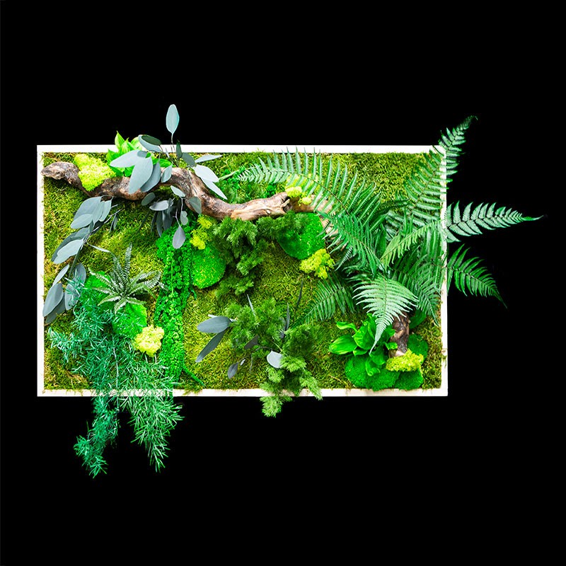 Cadre Végétalisé mousse