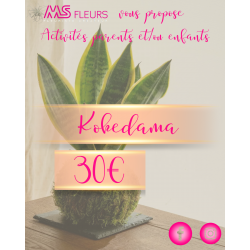 Atelier "Kokedama" Janvier 2026