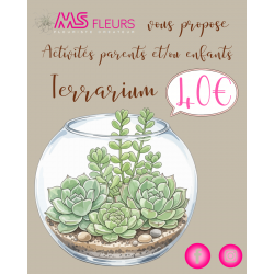 Atelier "Terrarium" 9 avril 2026