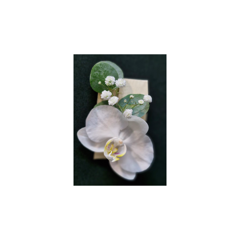 Boutonnière orchidée