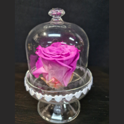 Cloche Rose Éternelle
