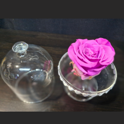 Cloche Rose Éternelle