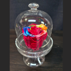 la cloche rose multicolore éternelle