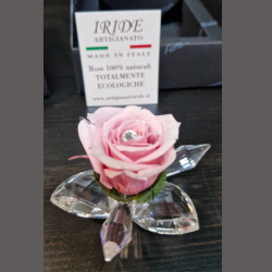 Fleur de Cristal rose