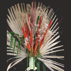 Les Palmes de fleurs Séchées orangé