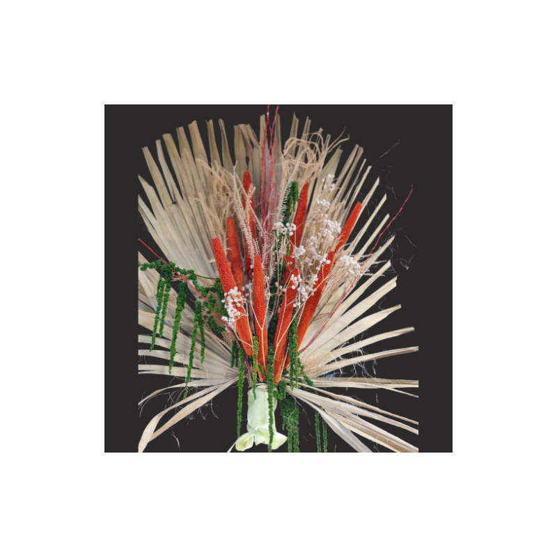 Les Palmes de fleurs Séchées orangé