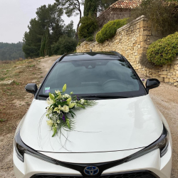 Décoration de véhicule long