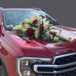 Décoration de véhicule long