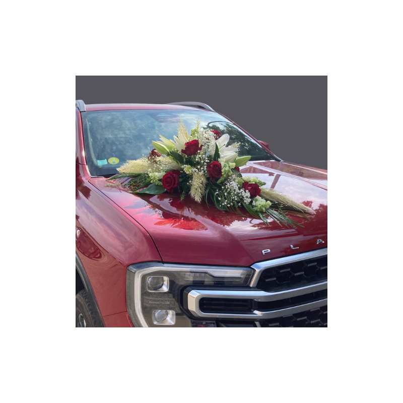 Décoration de véhicule long