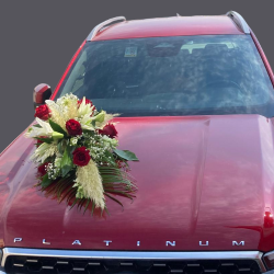 Décoration de véhicule long rouge