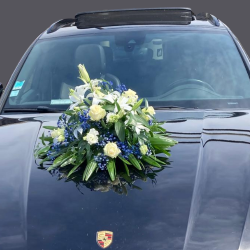 Décoration de véhicule long bleu et blanc