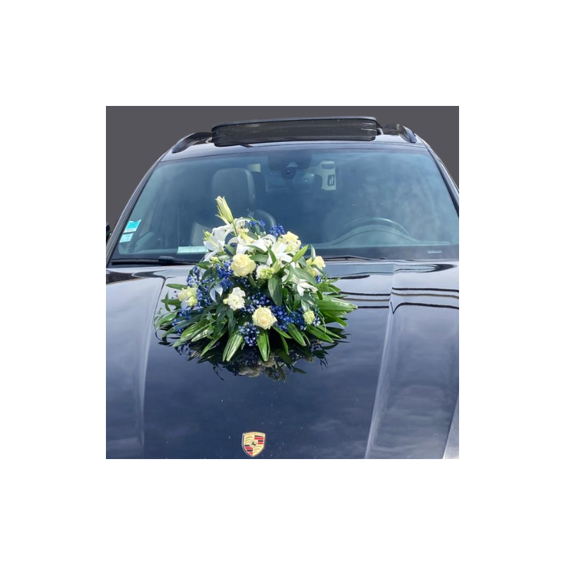 Décoration de véhicule long bleu et blanc