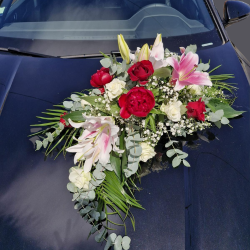 Décoration de véhicule rond