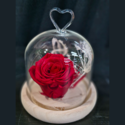 La Cloche d'Amour Rose Éternelle