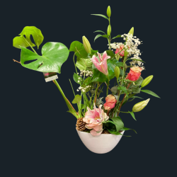 Composition Equilibre végétal