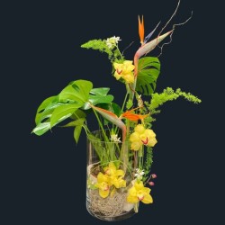 Composition Exotique