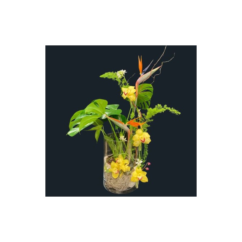 Composition Exotique