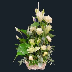 Panier Harmonie Plantes & fleurs coupées