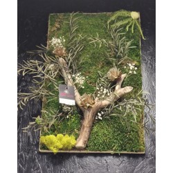 Cadre Végétalisé Branche naturelle & feuillages