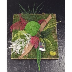 Cadre Végétalisé Nature & Couleurs