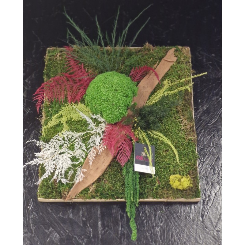 Cadre Végétalisé Nature & Couleurs