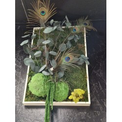 Cadre Végétalisé Eucalyptus...