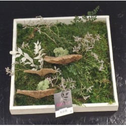 Cadre Végétalisé  Bois naturel & feuillages délicats