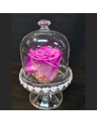 Petite décoration, fleurs stabilisées, création de votre fleuriste MS Fleurs à Orange dans le Vaucluse