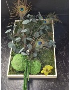 Cadre végétales en fleurs et plantes stabilisées par MS Fleurs, artisan fleuriste à Orange dans le Vaucluse.